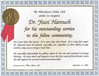 Recognition of excellence